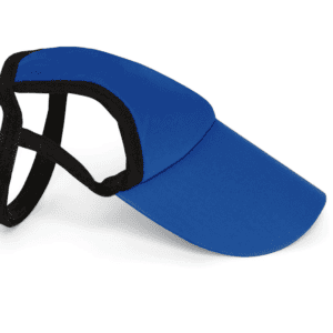 Royal Dog Visor